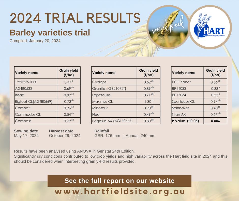 Hart Trial Results 2024 - Comparison of barley varieties SNEAK PEEK