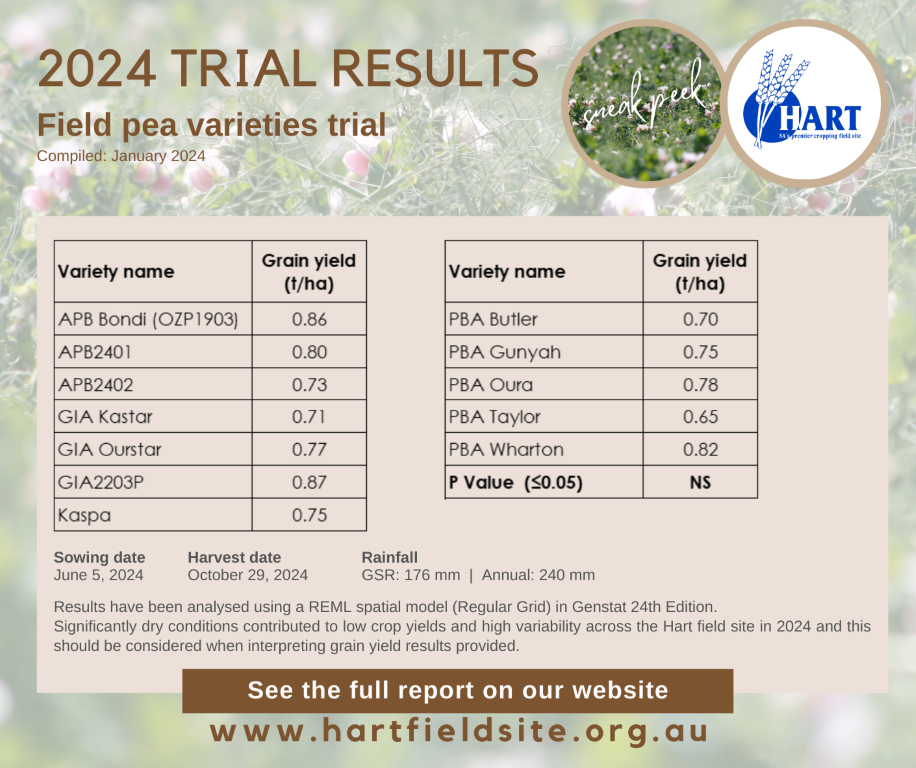 Hart Trial Results 2024 - Comparison of field pea varieties SNEAK PEEK