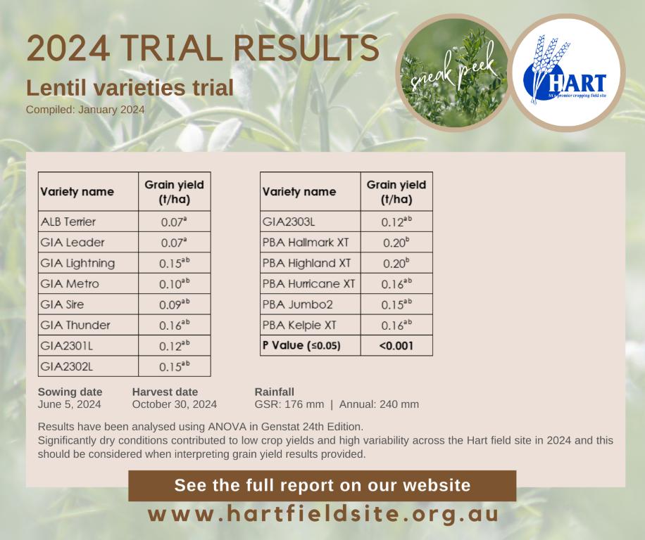 Hart Trial Results 2024 - Comparison of lentil varieties SNEAK PEEK