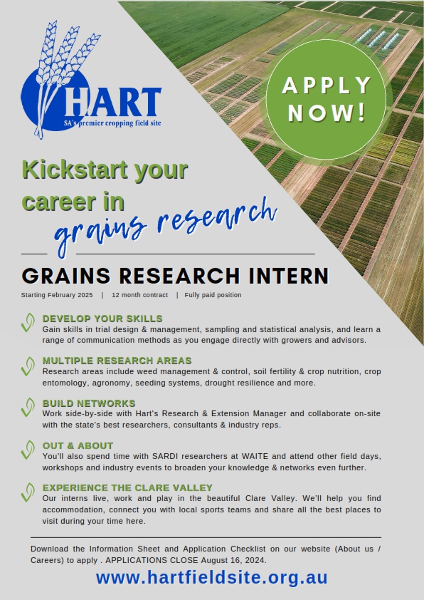 Regional internship in applied grains research 2025 - apply now