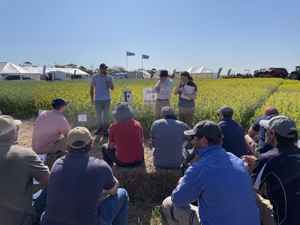 Hart’s research interns present at the 2024 Hart Field Day