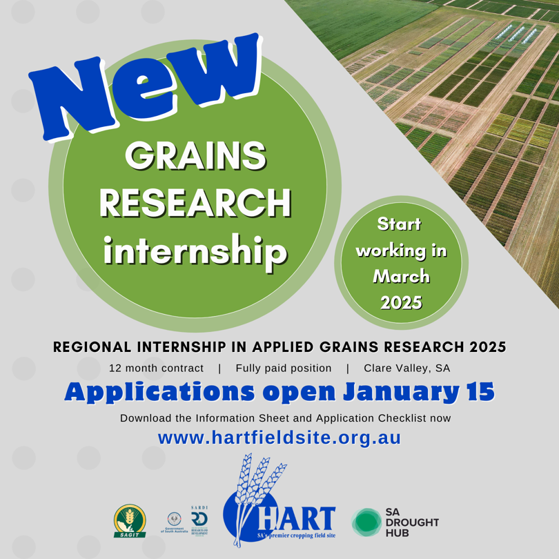 Regional internship in applied grains research 2025 - apply now