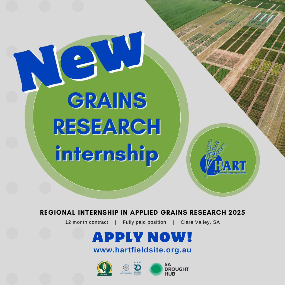 Regional internship in applied grains research 2025 - apply now