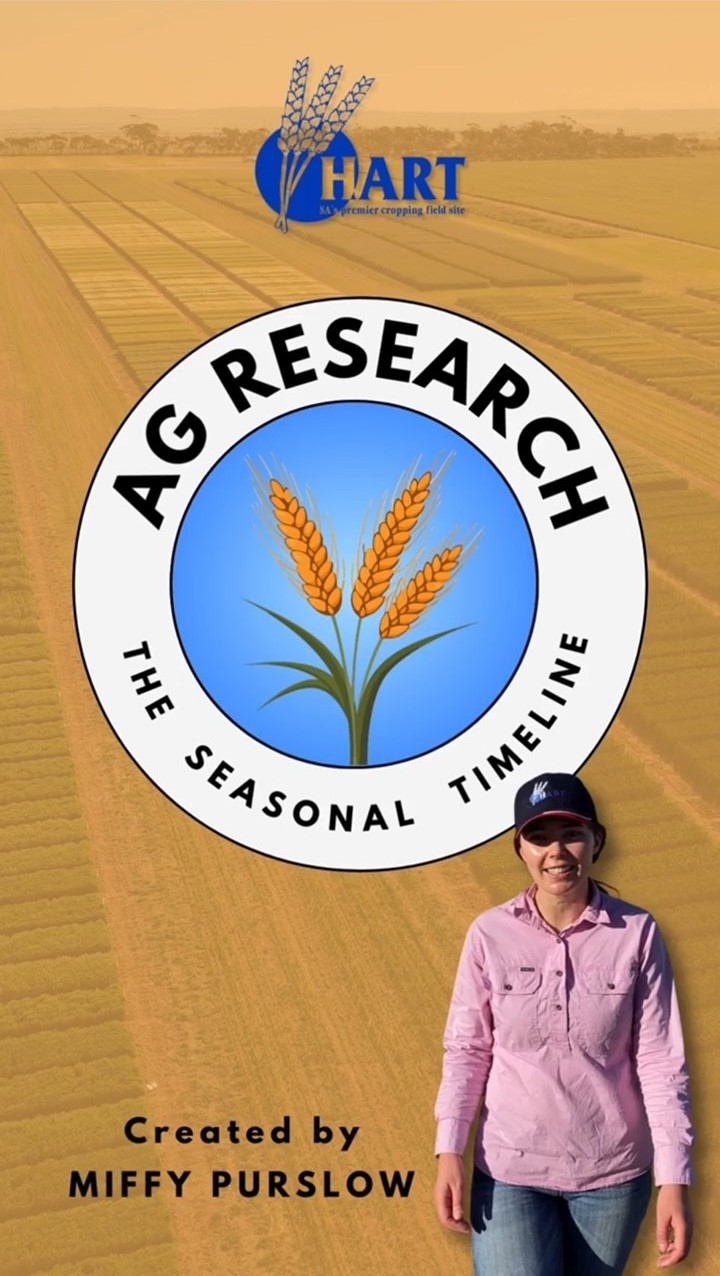 Ag Research - the seasonal timeline, by Miffy Purslow; Hart intern
